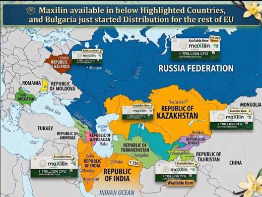 Maxilin availability document