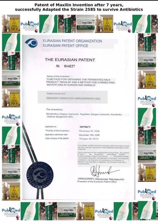 Maxilin invention patent document