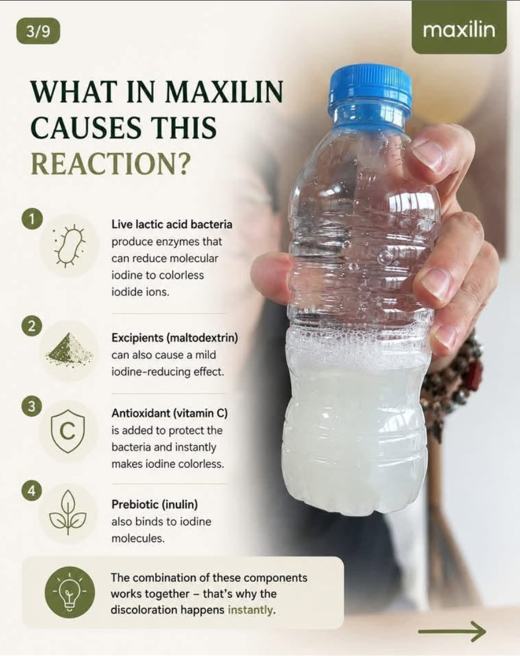 Components associated with the demonstrated reaction